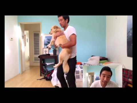 Como Levar um Dog.mp4