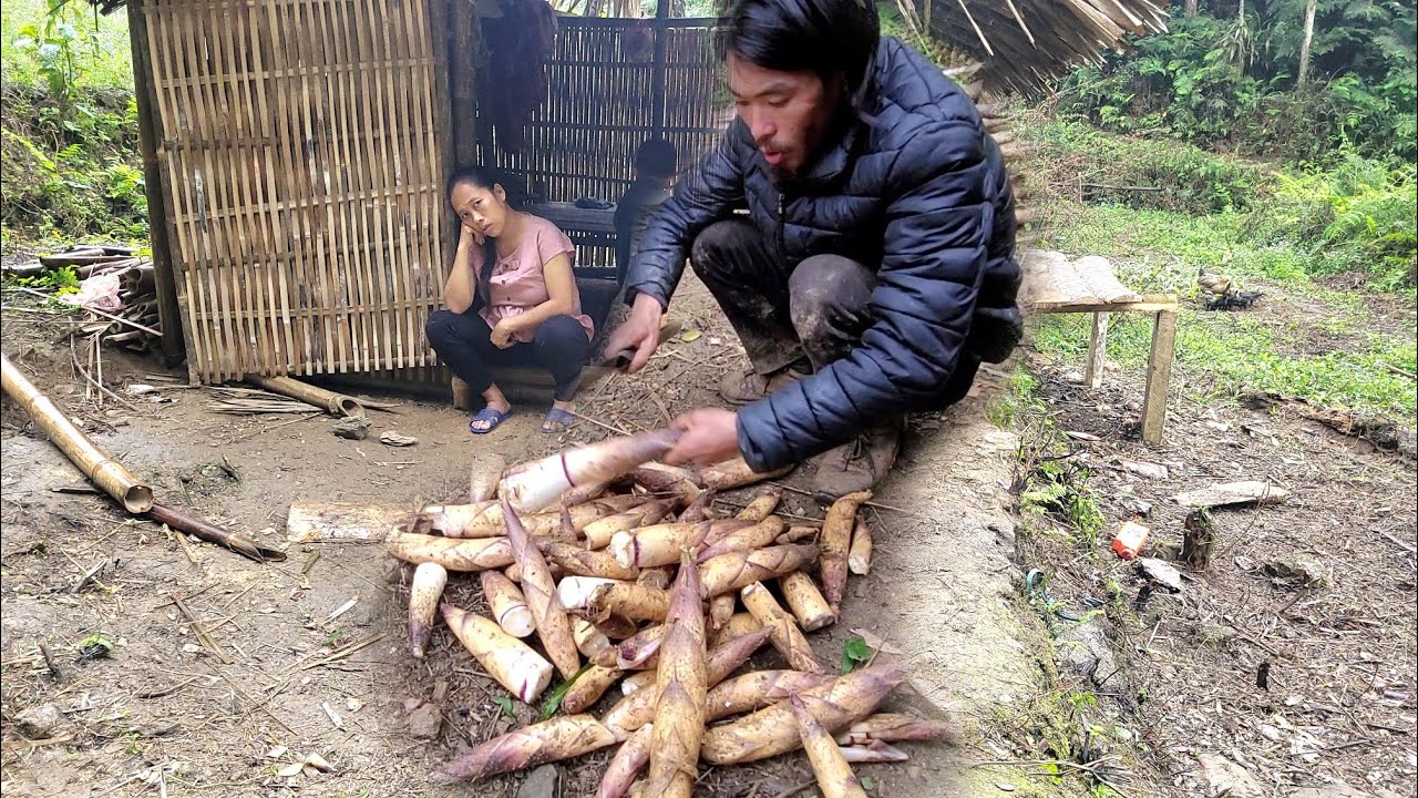 The husband went to the forest to find bamboo shoots to sell at the ...