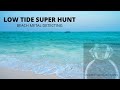 Beach Metal Detecting - LOW TIDE SUPER HUNT