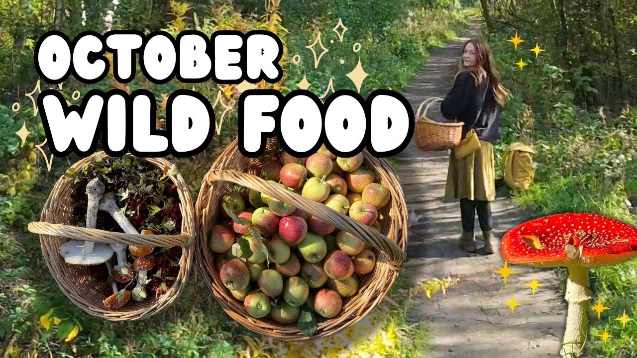 Осенний сбор урожая — множество грибов и фруктов! 🍂