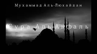 Мухаммад Аль-Люхайдан | Сура 8 Аль-Анфаль (Трофеи) | AL MUJADDID