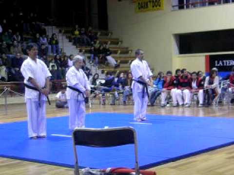 kyokushin iko1,sensei Liliane Pierron,sensei Abdon Valdebenito,sens...  Marco Inostroza