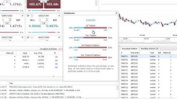 DF Trader SB Web: Quotes Window