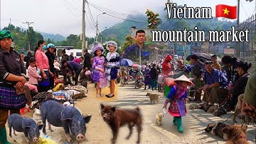 SỐC! Chó H’Mông Cộc Bắc Hà & Lợn Cắp Nách | Đặc Sản Có 1-0-2 Ở Chợ Phiên Tây Bắc | Vietnam Market