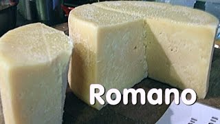 Making Vaccino Romano Cheese