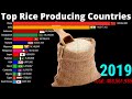 Largest producer of rice in the world | Top Rice Producing Countries |