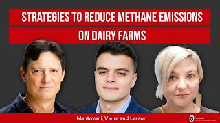 Strategies to Reduce Methane Emissions on Dairy Farms