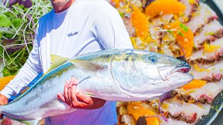 Big Fish Takes Live Bait | Catch and Cook in New Zealand by Outdoor Chef Life 139,767 views 4 months ago 46 minutes