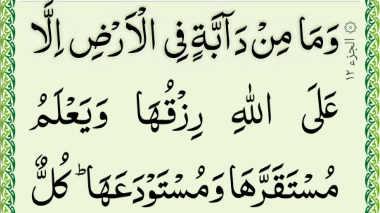 Quran Para 12 Complete Par Full HD Text Qari Hussain Saeedi