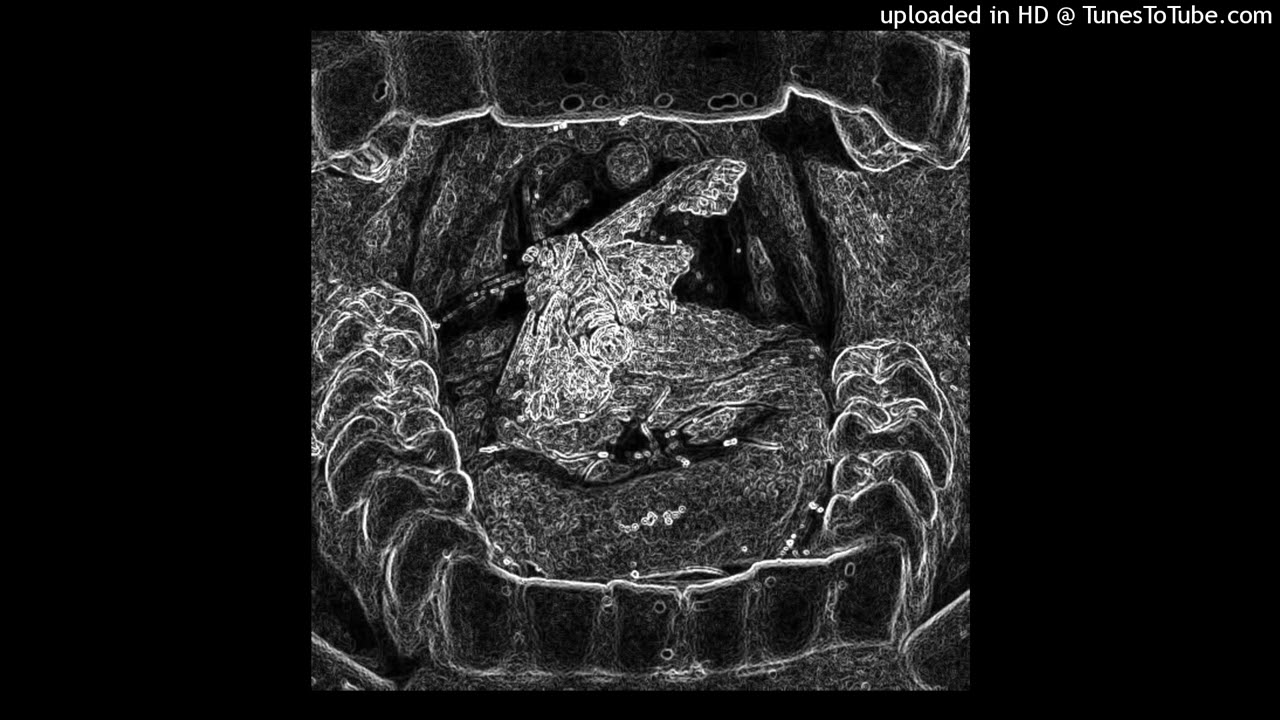 [FREE] Nascar Aloe x LIL DARKIE Type Beat - MOTH (prod. MUD)