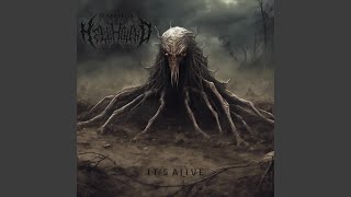 Celebrity Nightmare Feast Profile