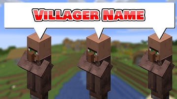 Villager Name Datapack