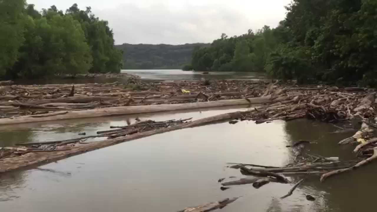 Dale Sanders Mississippi River Source to Sea Log jam and looking for