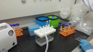 Bioeasy--Malachite Green Rapid Test Kit for Tissue
