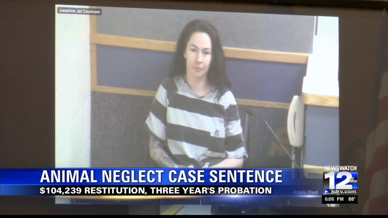 Danielle Brown sentence: over $100,000 in restitution, three years probation