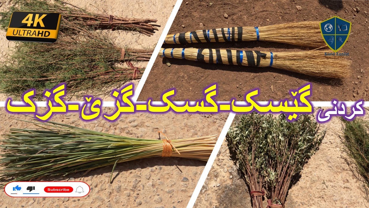 وەرزی کردنی گێسک-گسک-گزێ-گزک بە پاییزان: - YouTube