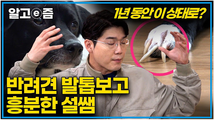 반려견의 발톱 때문에 세나개 사연을 접수한 보호자 제작진과 가보니 충격적인 발톱상태!｜발톱 보고 놀란 설썜｜세상에 나쁜 개는 없다｜알고e즘