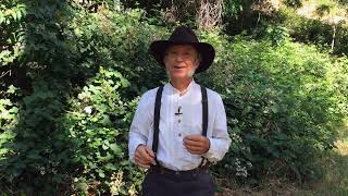 Docent Training: Interpretation Module