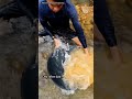 “He almost gave up… until the river showed him gold ✨”🔥 #goldrush #treasurehunt #goldmining
