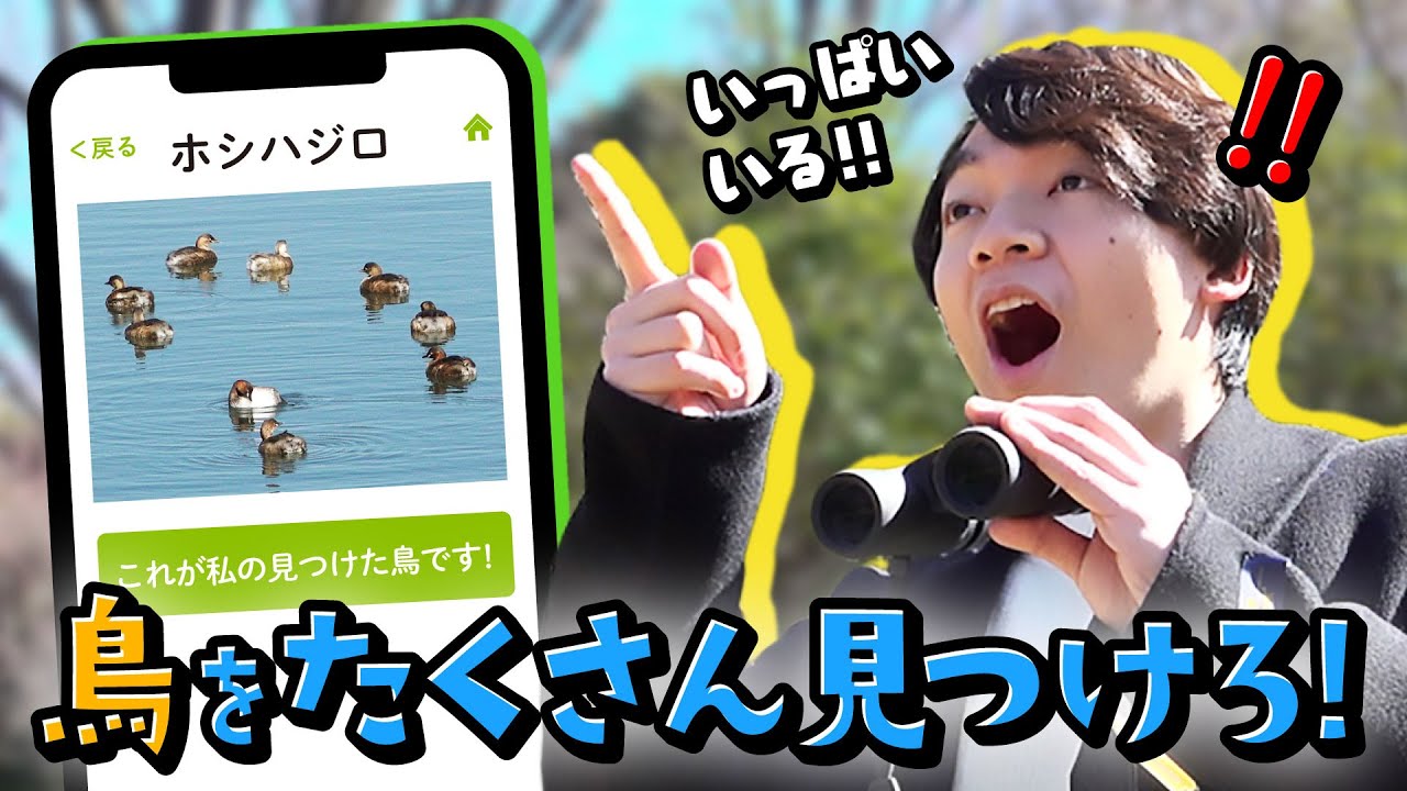 愛鳥活動動画集｜サントリーの愛鳥活動