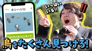 愛鳥活動動画集｜サントリーの愛鳥活動