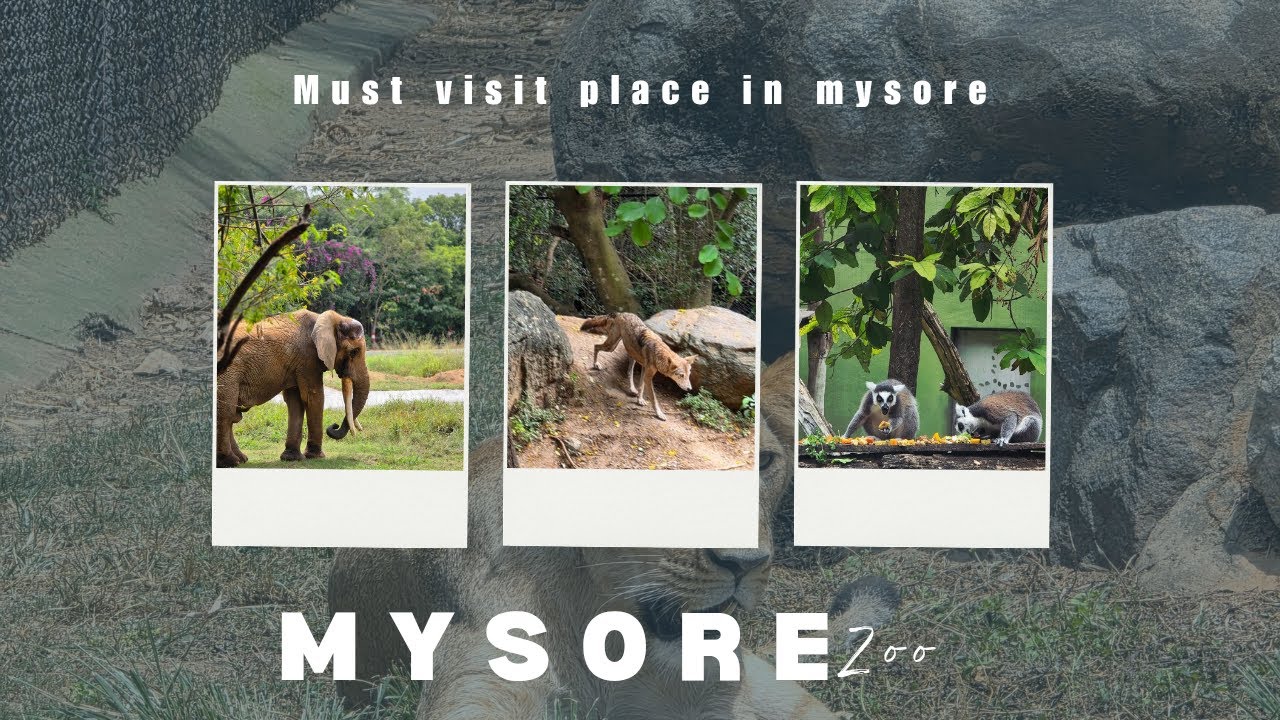 mysore zoo in malayalam.best place to visit in mysore in 2025