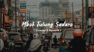 Mbok Tulung Sadaro (Slowed & Reverb)