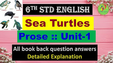 6th std English | Sea Turtles |  Prose | All book back question answers and warmup answers| Unit 1 |