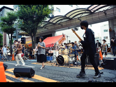 ワタリドリ + starrrrrrr(カバー)/ハルハナ