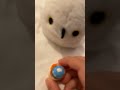 Do not believe to my owl because I will believe it, I am a killer ￼￼