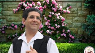 Cristian Banateanu - Vulture ce zbori înalt