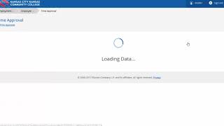 Web Time Entry Supervisor