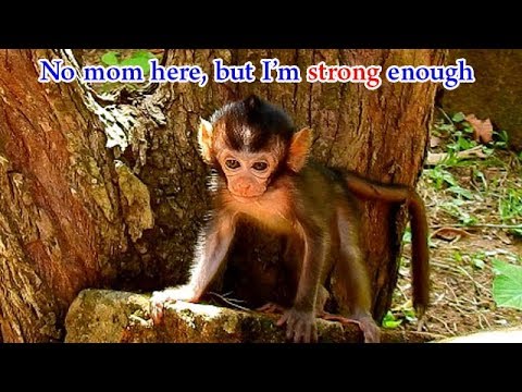facebook games 2019 Daniela be a strong baby | Daniela doesn't cries seizures cos she is strong enough
