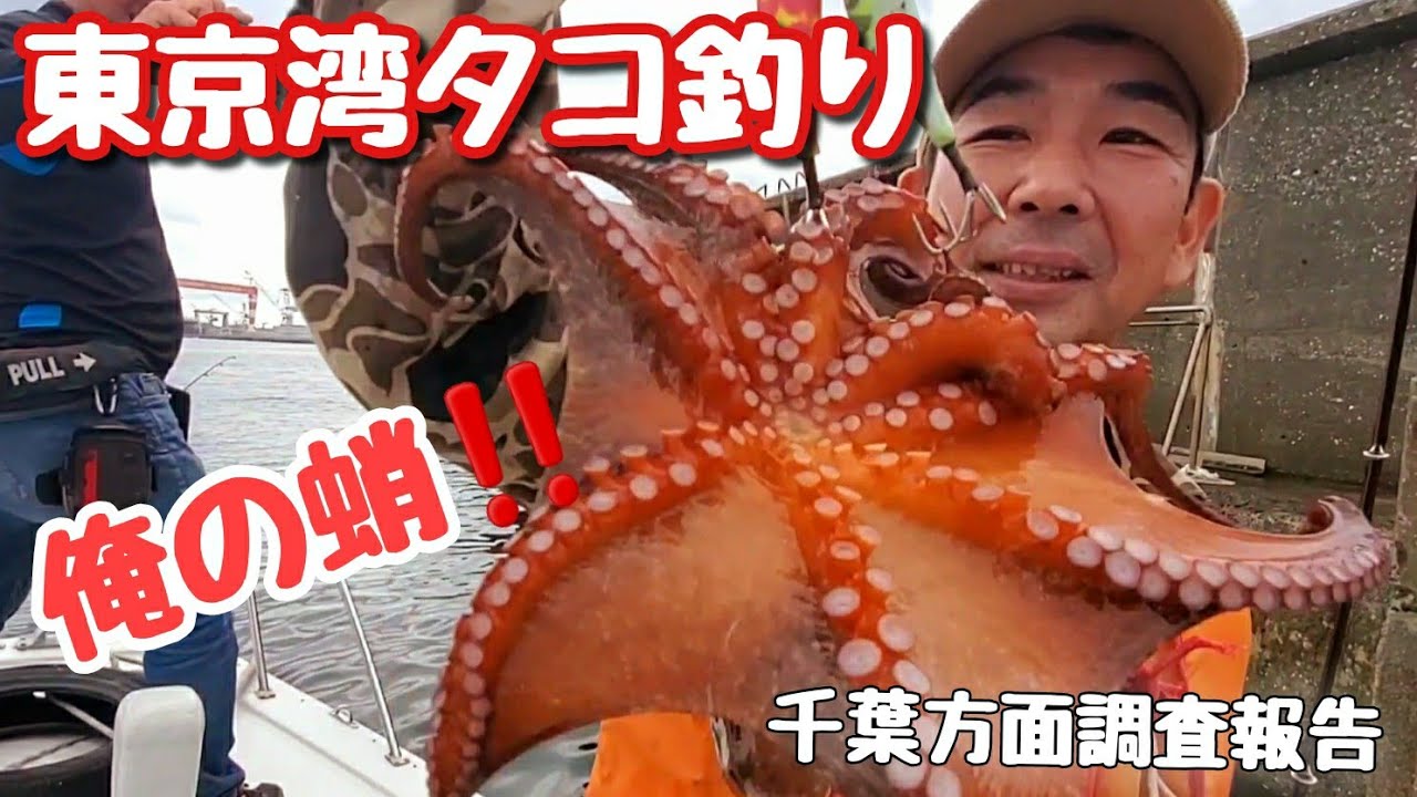 タコエギ釣り 俺の蛸だ 東京湾千葉方面調査報告 Youtube