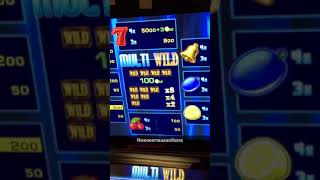!! 4 WILD‘S BEI MULTI WILD !!