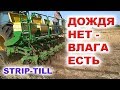 STRIP-TILL  ВАЖНО ВСЕМ КАК СОХРАНИТЬ ВЛАГУ И ПОЛУЧИТЬ БОЛЬШОЙ УРОЖАЙ