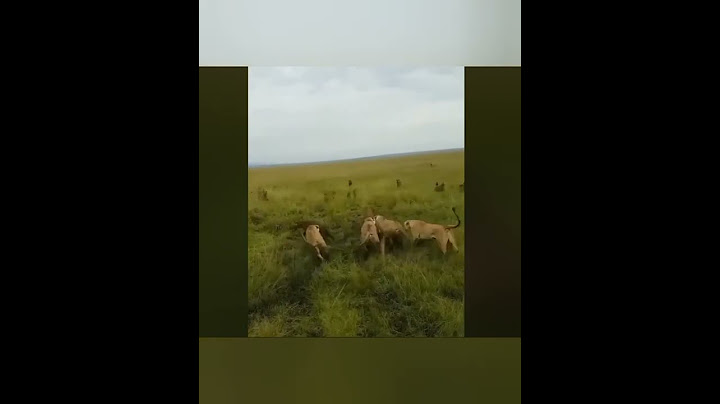 الاخوات فى وقت الشدة
