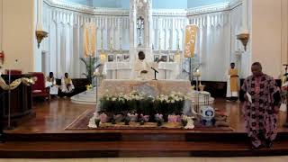 St. Katharine Drexel Parish Boston - Fourth Sunday of Easter - April 26, 2026