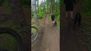 Mountain Biker Barely Manages to Avoid a Dog on a Trail