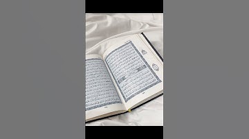 القرآن الكريم غذاء الروح 💗💗💗
