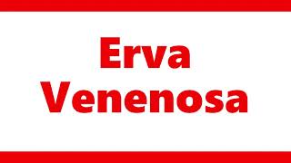 Video thumbnail of "erva venenosa letra completa"