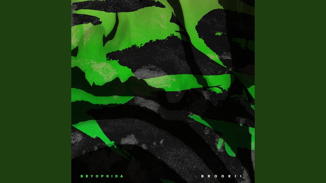 Watch Bryopsida on YouTube Watch Bryopsida on YouTube