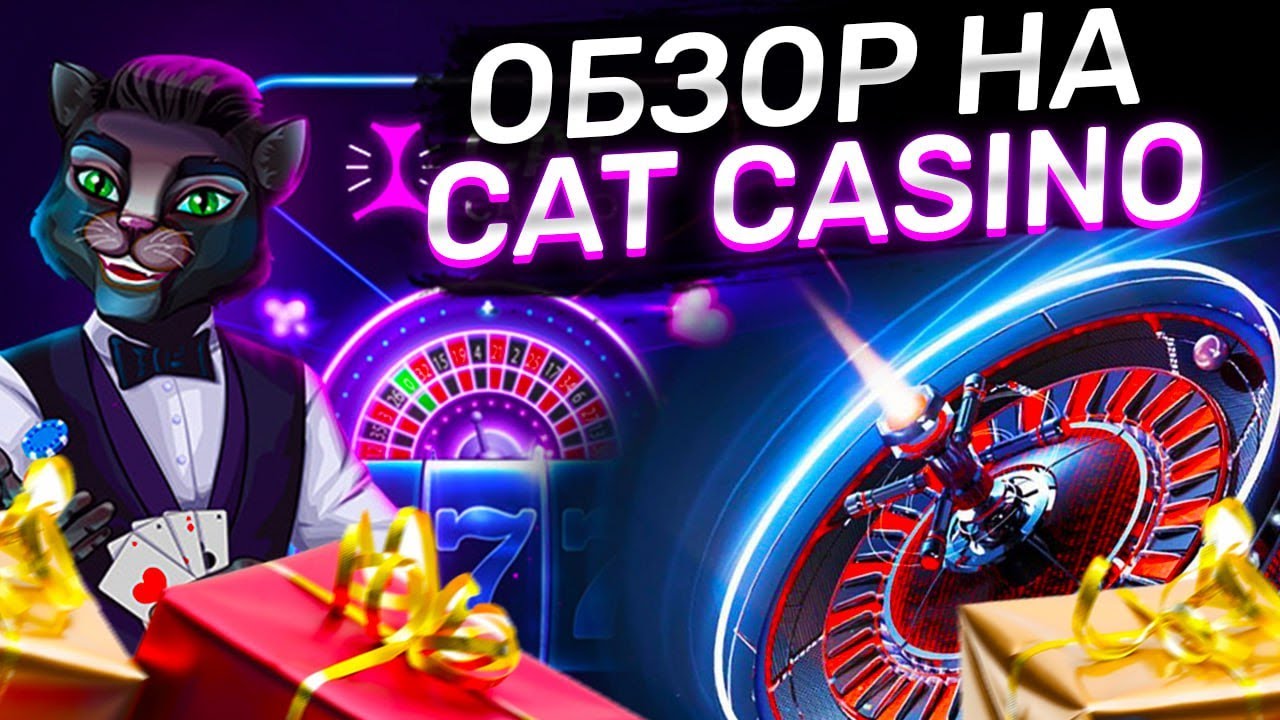 cat casino на андроид