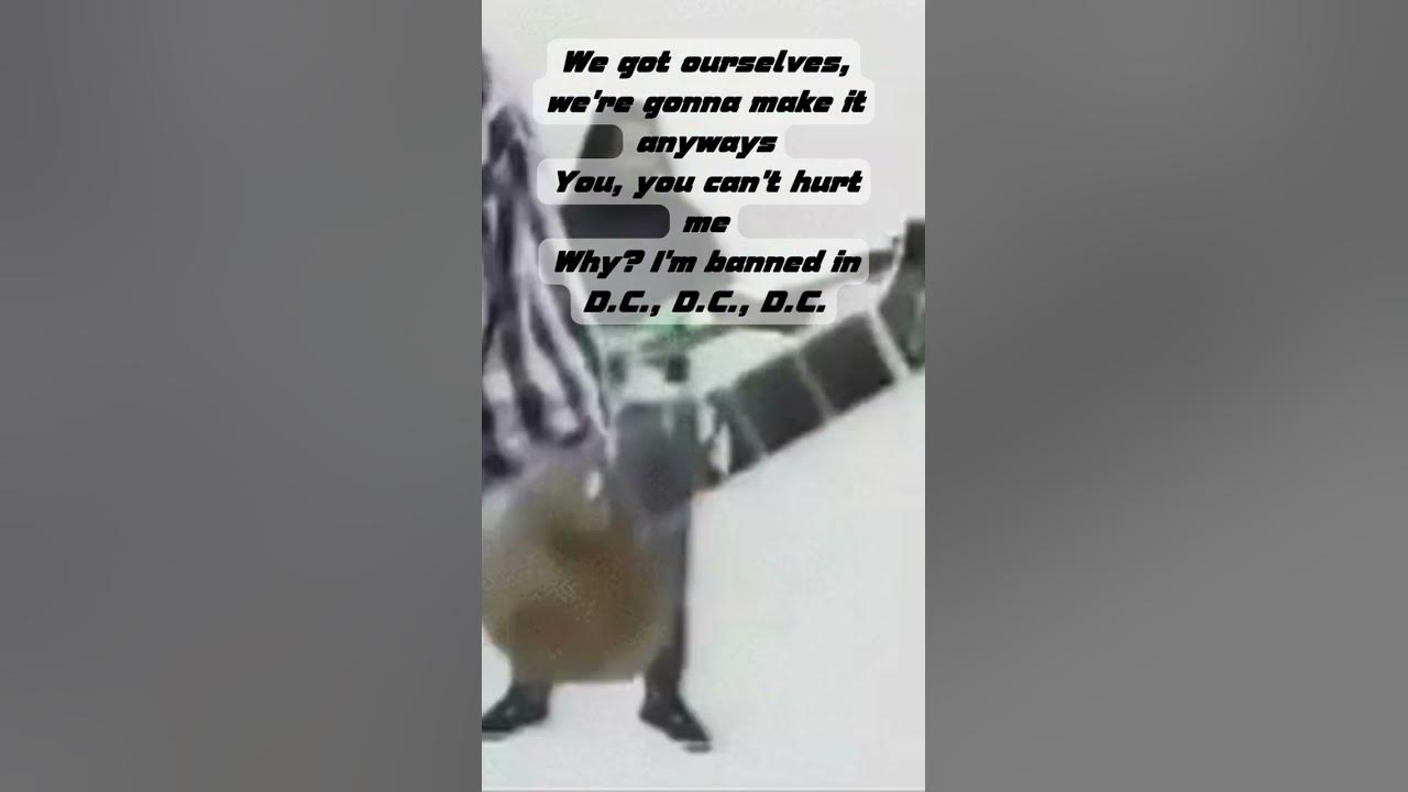 Bad Brains - Banned in D.C.  (Cover Lyrics) #shorts