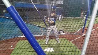 Jake Malone (Soph), INF, 2016-17