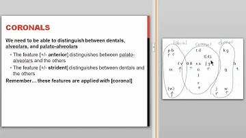 Phonological Features