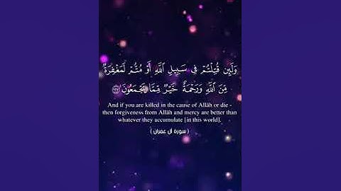 سورة آل عمران من 156 الى 160 @الجميع