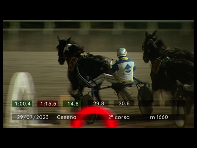 2023 07 29 | Corsa 2 | Metri 1660 | Premio Quotidiano Nazionale.It - Trofeo Gentlemen For Life