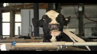 Dairy Month: Colby Acres