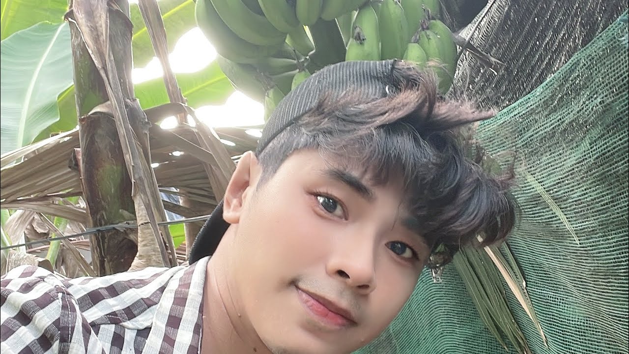 Good morning, let's pick up chicken and duck eggs together